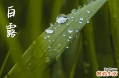 今日白露是几月几号