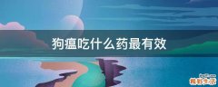 狗瘟吃什么药最有效