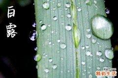 今年的白露时节具体时间
