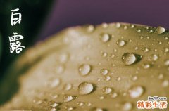 2023白露时间是什么时候