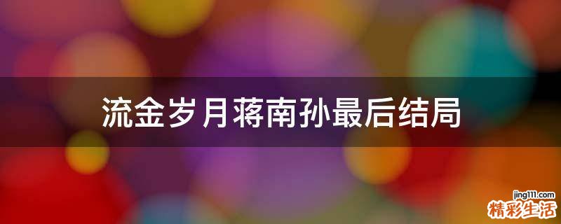 流金岁月蒋南孙最后结局