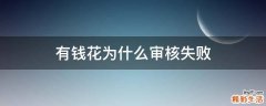 有钱花为什么审核失败