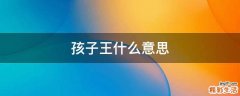 孩子王什么意思