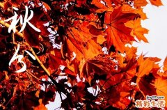 2023年秋分节气是几月几号