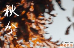 秋分节气是几月几日哪天