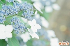 胸膜钙化是怎么回事？