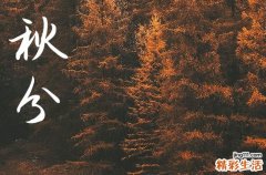 秋分节气是几月几日几点几分