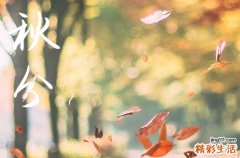 秋分节气是今年几月几号