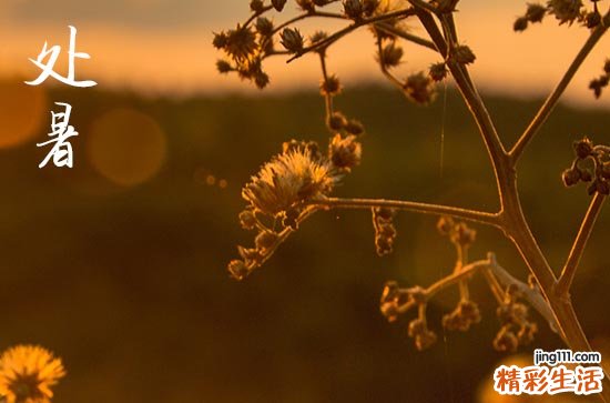 处暑是不是就不热了