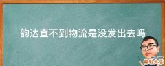韵达查不到物流是没发出去吗