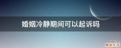 婚姻冷静期间可以起诉吗