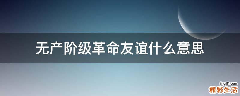 无产阶级革命友谊什么意思