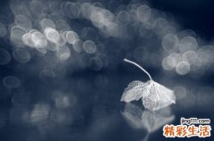 中医分期论治登革热