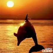 甲亢的最佳治疗 方法