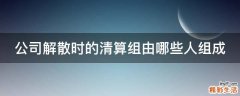公司解散时的清算组由哪些人组成