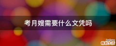 考月嫂需要什么文凭吗