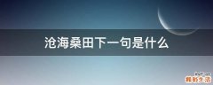 沧海桑田下一句是什么