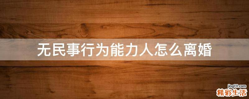 无民事行为能力人怎么离婚