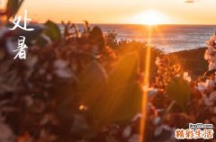 处暑是几伏天 处暑时节中的节日有哪些