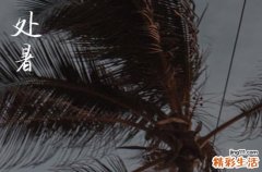 处暑是三伏天吗 处暑节气有什么饮食习俗