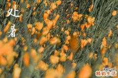 处暑是不是三伏天就结束了 处暑与出伏相关的谚语