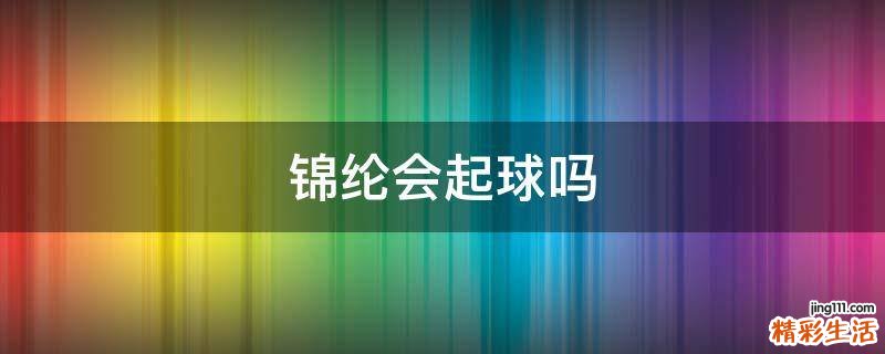 锦纶会起球吗
