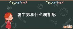 属牛男和什么属相配