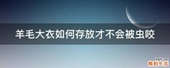 羊毛大衣如何存放才不会被虫咬