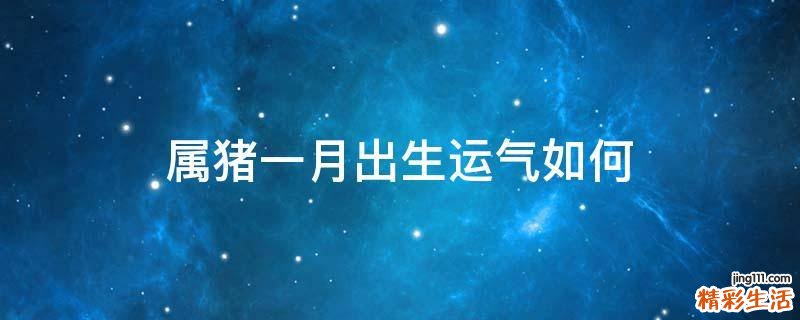 属猪一月出生运气如何