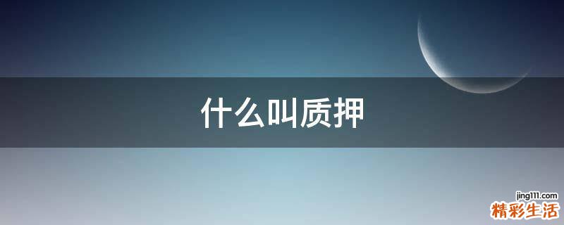 什么叫质押