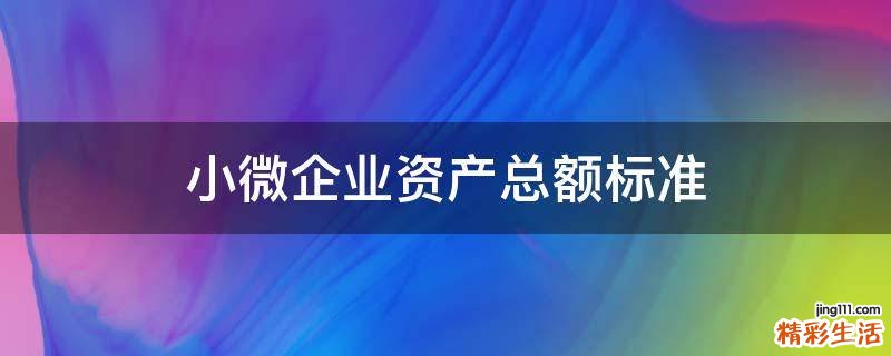 小微企业资产总额标准