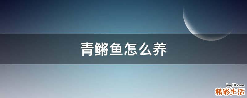 青鳉鱼怎么养