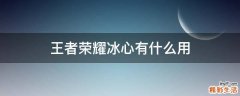 王者荣耀冰心有什么用