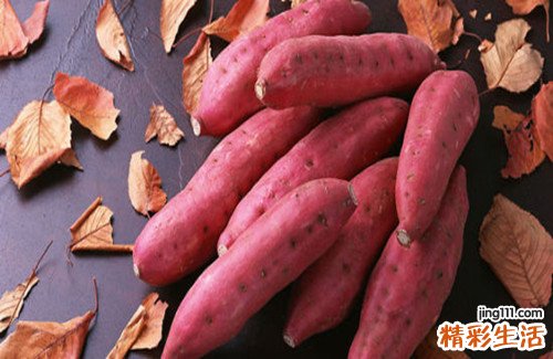 吃什么对胃好养胃