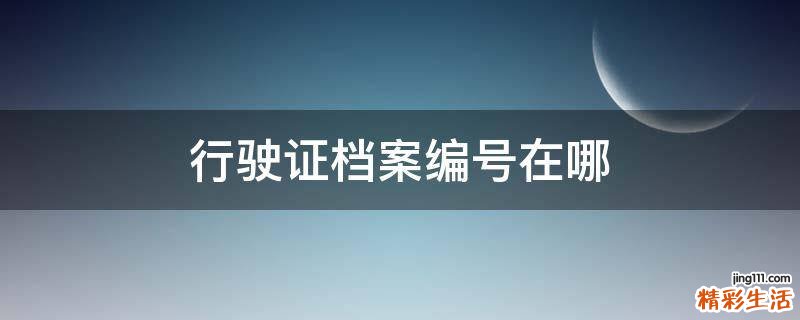 行驶证档案编号在哪