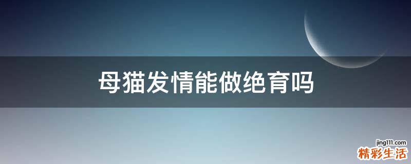 母猫发情能做绝育吗