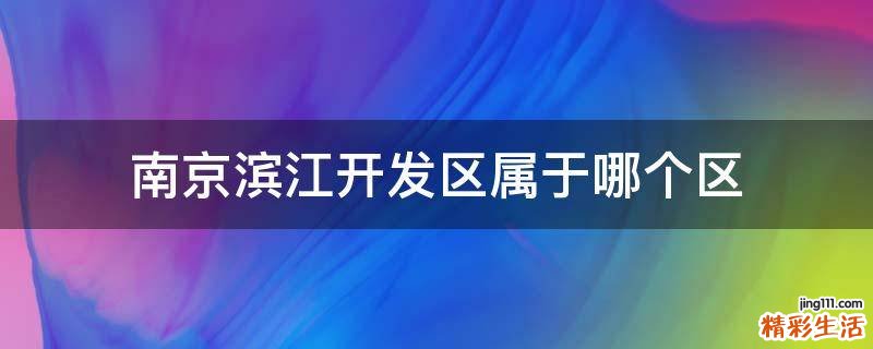 南京滨江开发区属于哪个区