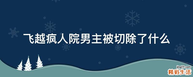 飞越疯人院男主被切除了什么