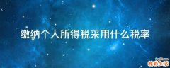 缴纳个人所得税采用什么税率