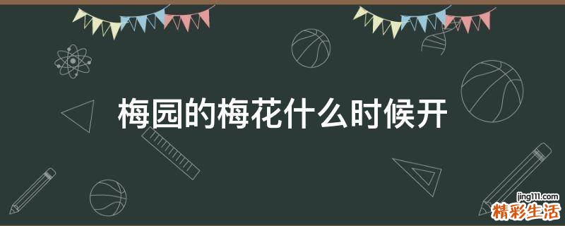 梅园的梅花什么时候开
