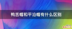 鸭舌帽和平沿帽有什么区别