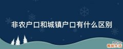 非农户口和城镇户口有什么区别