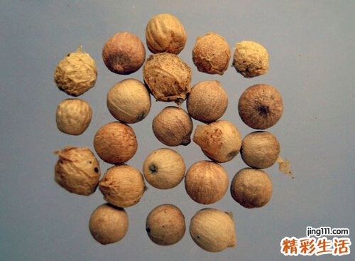 胃火大不能吃什么