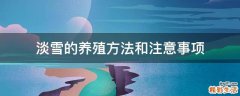 淡雪的养殖方法和注意事项