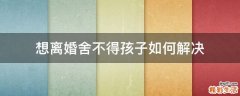 想离婚舍不得孩子如何解决