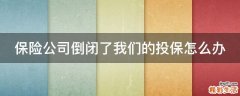保险公司倒闭了我们的投保怎么办