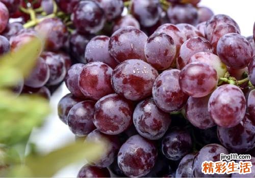 夏季养胃的水果有哪些 8种养胃水果快收好