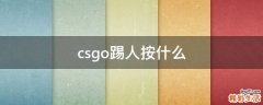 csgo踢人按什么