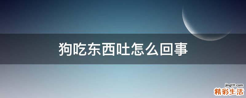狗吃东西吐怎么回事