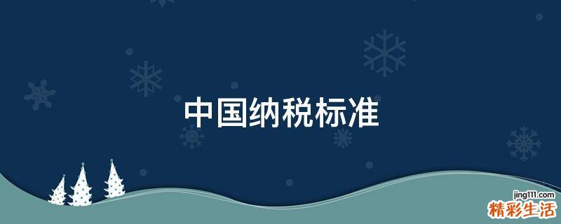 中国纳税标准